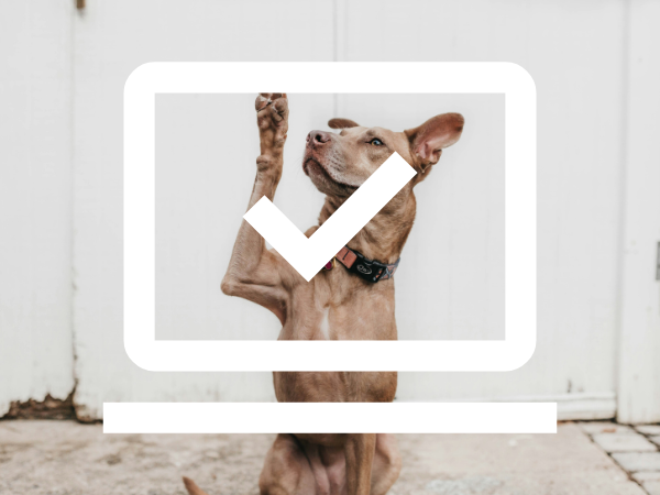 My Web Design FAQs