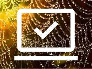 How to Buy a Domain Name: Your Step-by-Step Guide